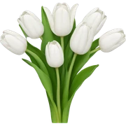 white tulip bouquet  sticker