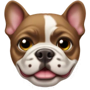 French bull dog sticker