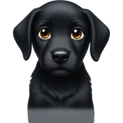 Black Puppy sticker