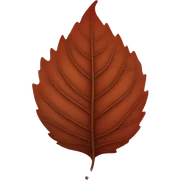 Red to brown leaf sticker