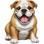 English bulldog  sticker