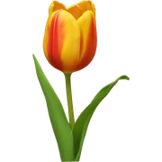 Tulip sticker