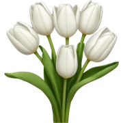 white tulip bouquet  sticker
