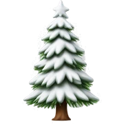  actual white fir christmas tree isolated.  sticker