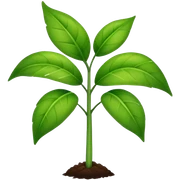 Plant sticker
