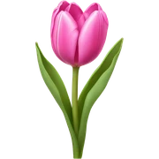 Pink tulips  sticker