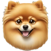 Pomeranian dog sticker