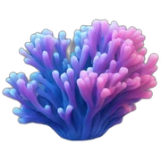 coral sticker
