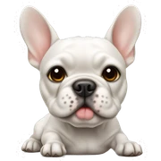 White Frenchie laying  sticker