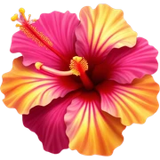 hibiscus flower  sticker