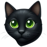 black cat sticker