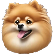 Pomeranian sticker