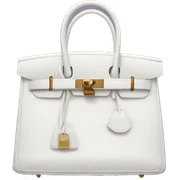 Birkin bag sticker