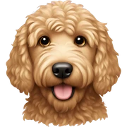 Golden doodle sticker