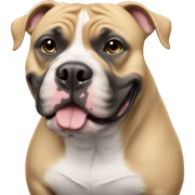 black american bully sticker