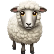 Sheep sticker