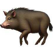wild boar sticker