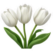 White tulips  sticker