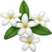 Jasmine flower sticker