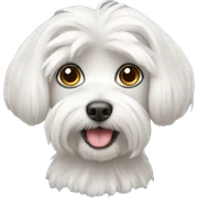 Maltese sticker