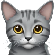 Gray cat sticker