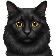 black long haired cat sticker