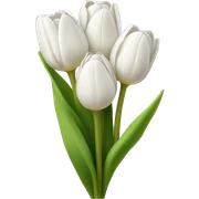 white tulip bouquet  sticker