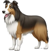 Collie sticker