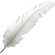 Realistic white feather sticker