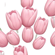 Light pink tulip bouquet  sticker