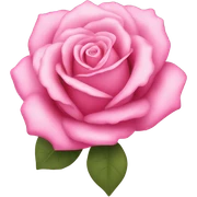 pink roses sticker
