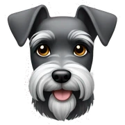 Miniature schnauzer  sticker