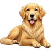 Golden retriever laying sticker