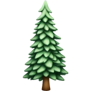  actual white fir christmas tree isolated.  sticker