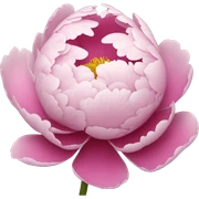Peony sticker