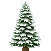  actual white fir christmas tree isolated.  sticker