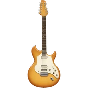 guitar sticker