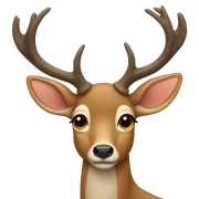 Deer sticker