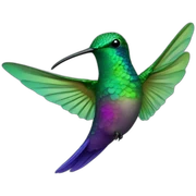 irridescence hummingbird sticker