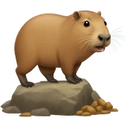 Pooping capybara sticker