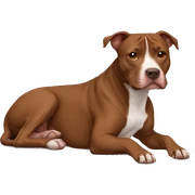 Brown Pitbull laying sticker