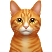 orange cat sticker