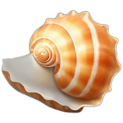sea shell sticker