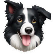 border collie con cuore bianco sticker
