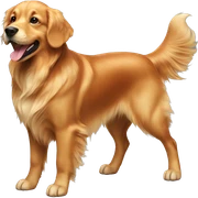 red golden retriever dog  sticker