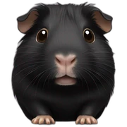 Black Guinea pig sticker