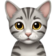 Gray tabby kittne sticker