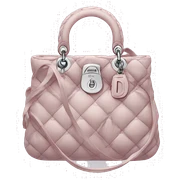 Dior bag sticker