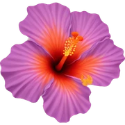 Orange hibiscus flower  sticker
