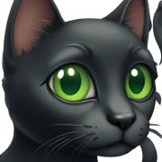 Black Cat with Green eyes sticker